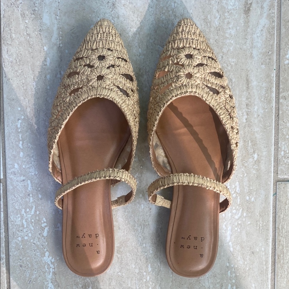 Target A New Day Vienna Woven Raffia Flat